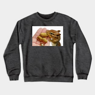 Treat Time Crewneck Sweatshirt